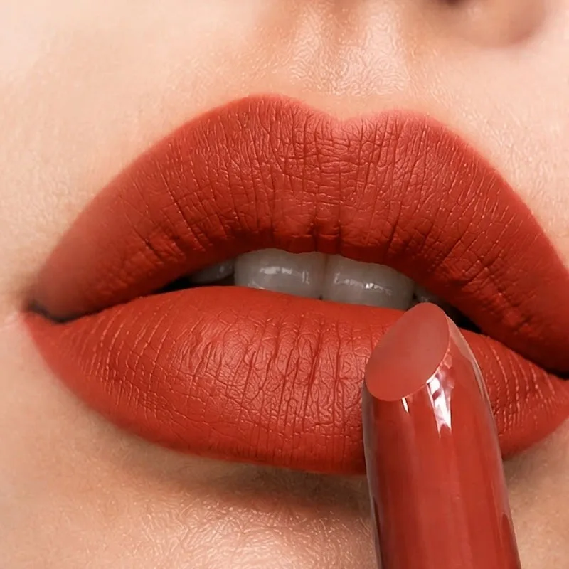 JUJU DREAM Lipstick And Liquid Blush Set Waterproof Long Lasting Terracotta Makeup Kit