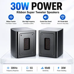 5Ohm nuovissimo nastro indipendente per febbre Super Tweeter Tweeter esterno altoparlante passivo Sound Box 30W Extension