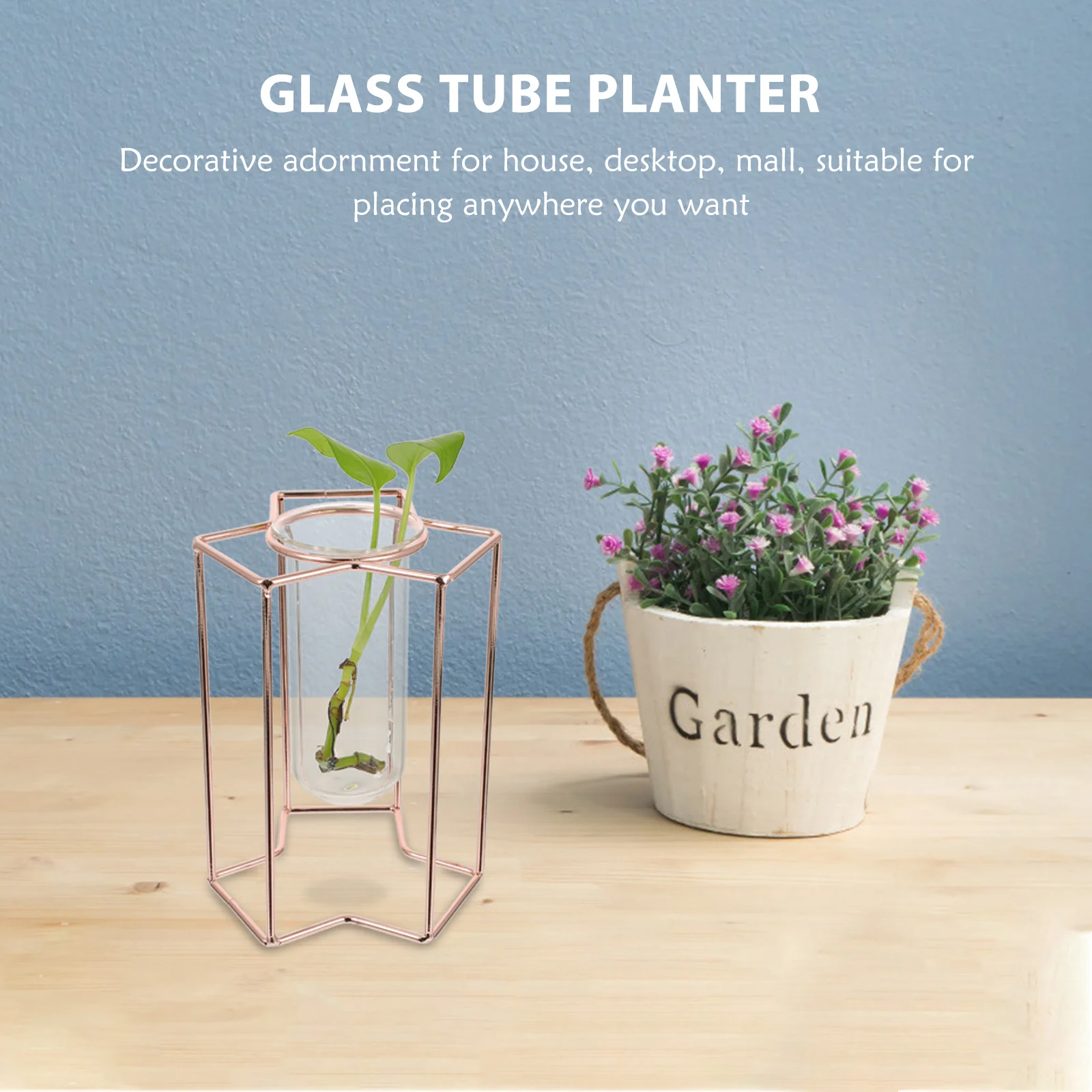 

1Pcs Glass Tube Vase Flower Hydroponic Planter Iron Rack Green Plant Container Desk Hotel Wedding Decoration Glass Tube Planter