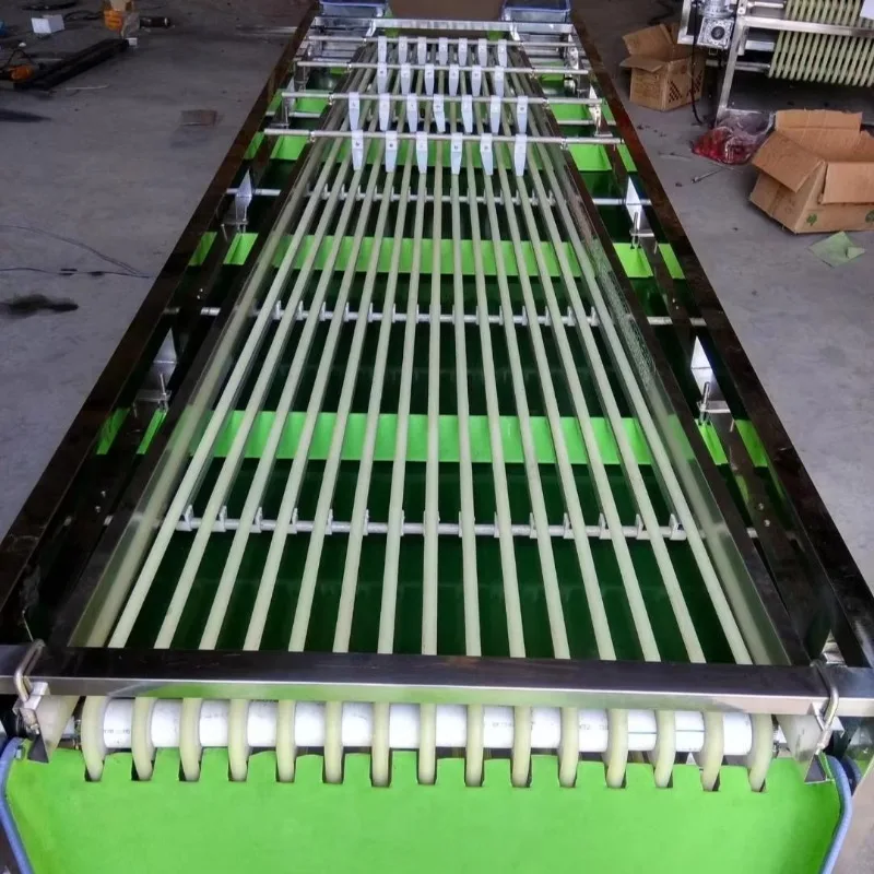 Fruit Weight Grading Machine Citrus Fruit Sorting Machine Fruits and Vegetables Sizes Sorting Chestnut Machines Customized