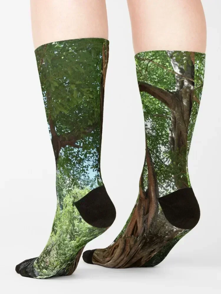 Tree of life Socks football Hiking boots christmas gifts Antiskid soccer Socks For Man Women's