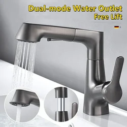 Pull Out Lift Kitchen Faucet 360° Rotatable Splashproof Basin Faucet Stainless Steel Kitchen Sink Faucet with Pull Down Sprayer