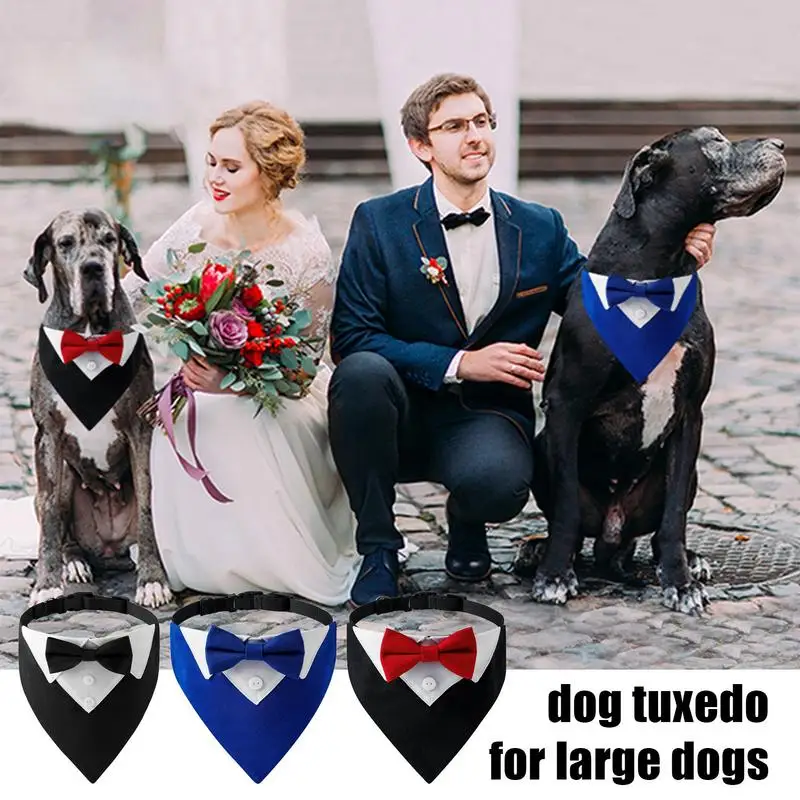 Cute Dog Cat Black and Red Collar Grooming White Collar Dog Suit Formal Tie Tuxedo Bow Ties Dog Necktie Fashion Pet Accessories