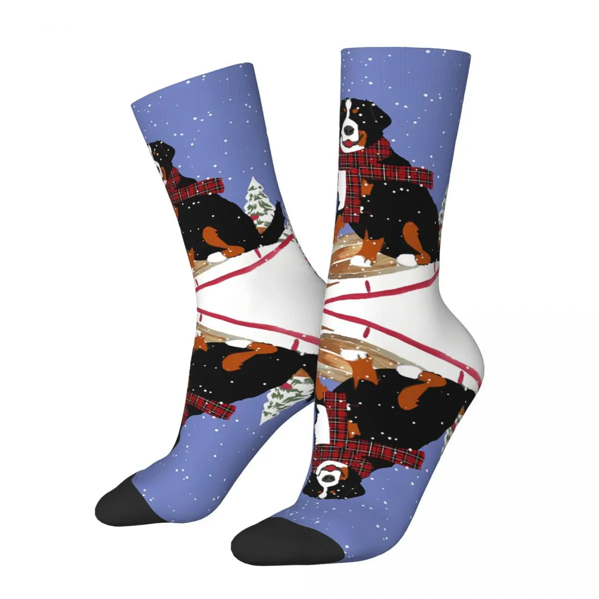 Bernese Mountain Dog Sledding Sock Printed Man Polyester