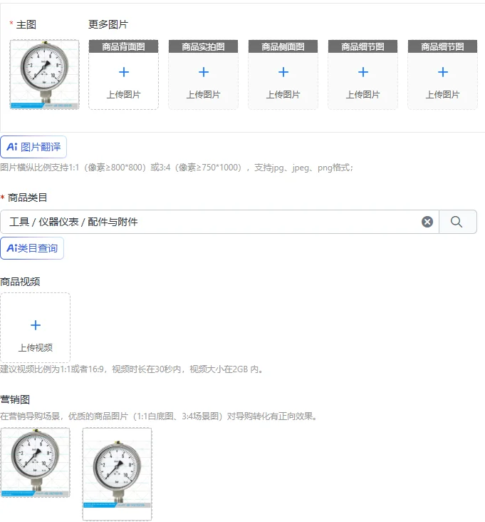 EN837-1 All stainless steel seismic pressure gauge Inner chamber pressure gauge Interlayer pressure gauge