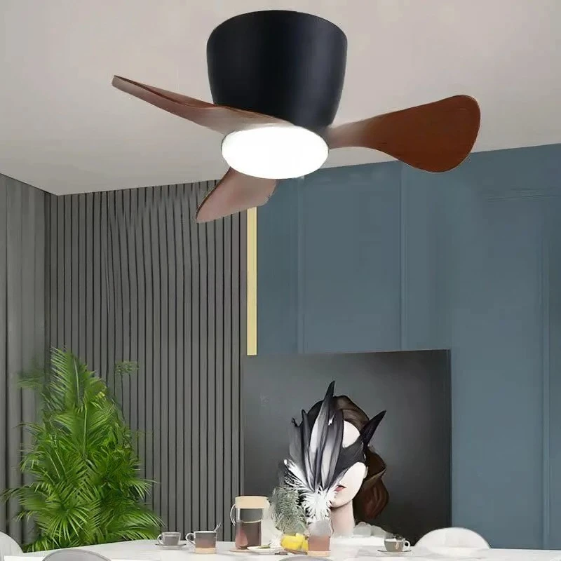 DC Frequency Conversion Stepless Dimming Small Ceiling Fan Light 100V-240V22 Inch Ultra-thin Ceiling