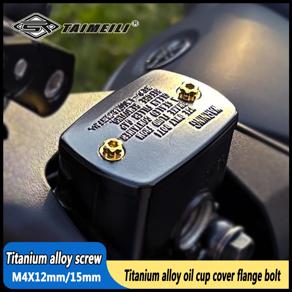 TAIMEILI 2pcs Titanium alloy oil cup cover flange bolt  M4 screw motorcycle oil pot cover modification