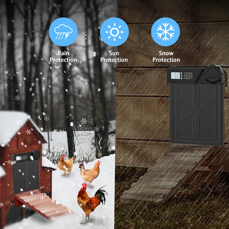 大型鶏小屋ドア、LCDディスプレイ、単三電池式タイマー設定付き - 使いやすい自動鶏とアヒル小屋ドア