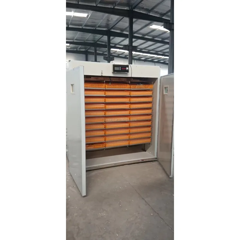 

5000 Automatic Chicken Solar For Hatching S