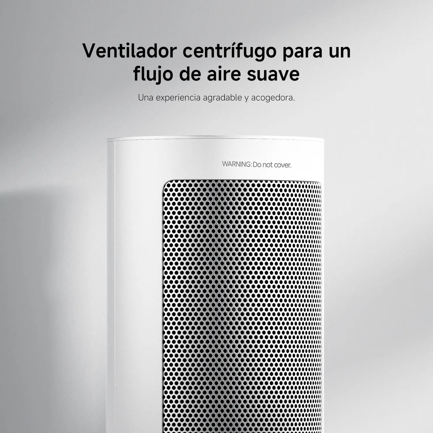 Imagen 8