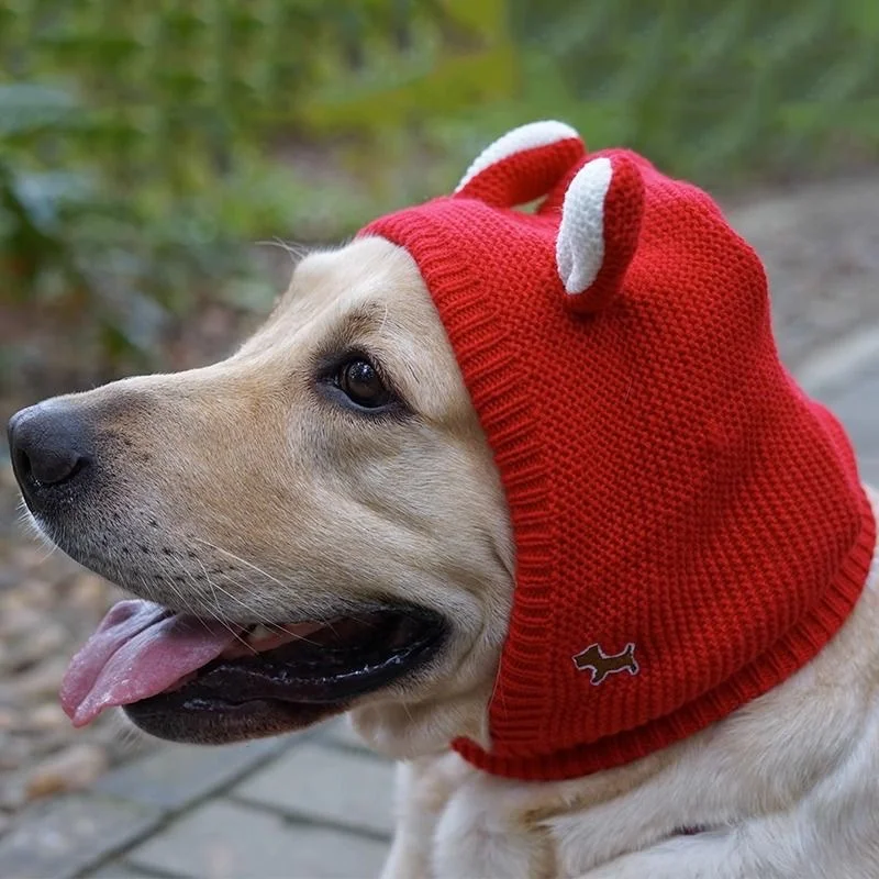 Berretto invernale caldo per cani di grossa taglia copricapo per animali domestici in maglia addensata copricapo per cani di taglia media Labrador