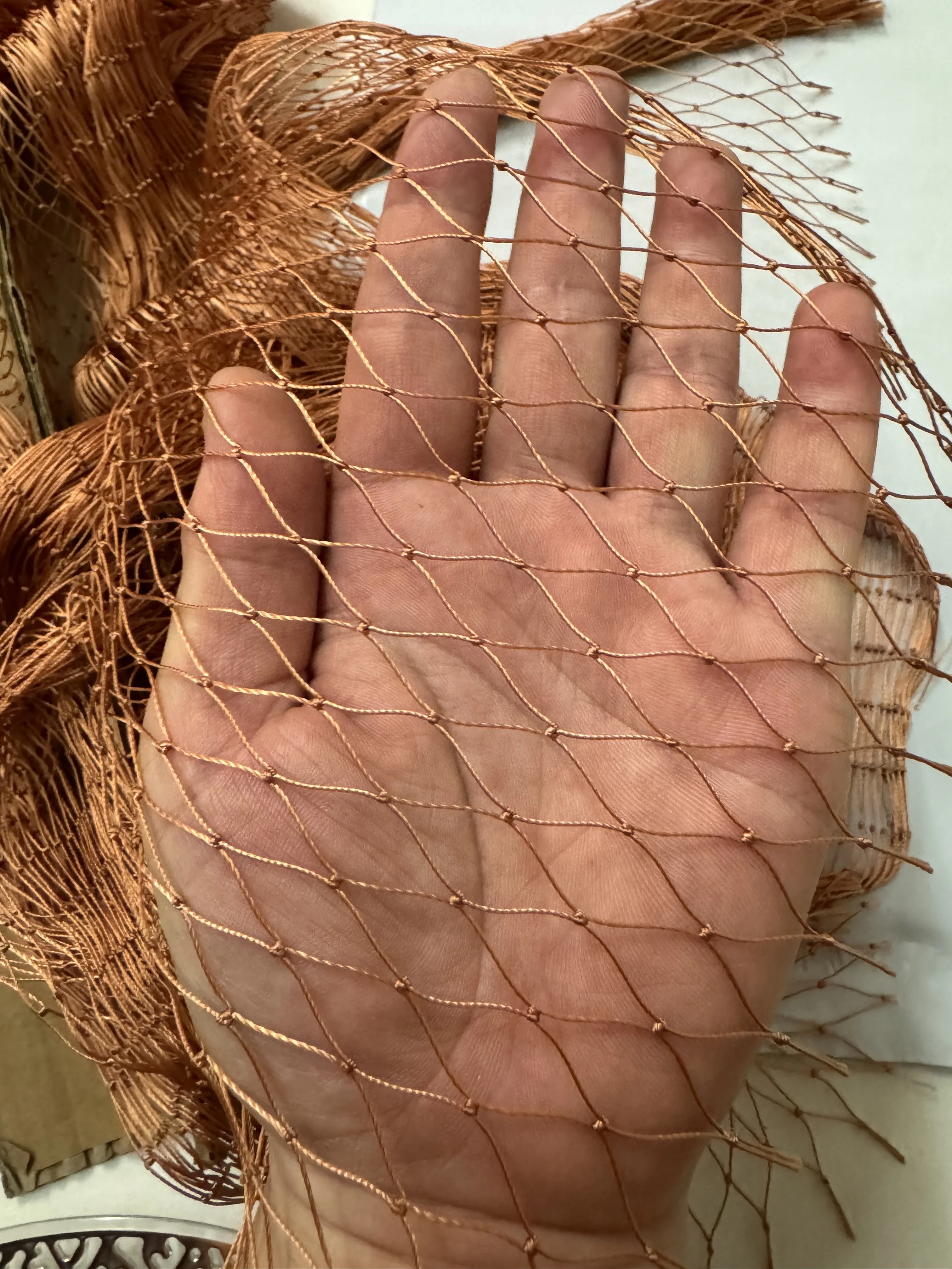Braunes Nylonnetz – solides Reifennetz für Anti-Vogel-Netz, Obst- und Gemüse-Schutznetz, Gartennetz, Hühnernetz – Detail 6