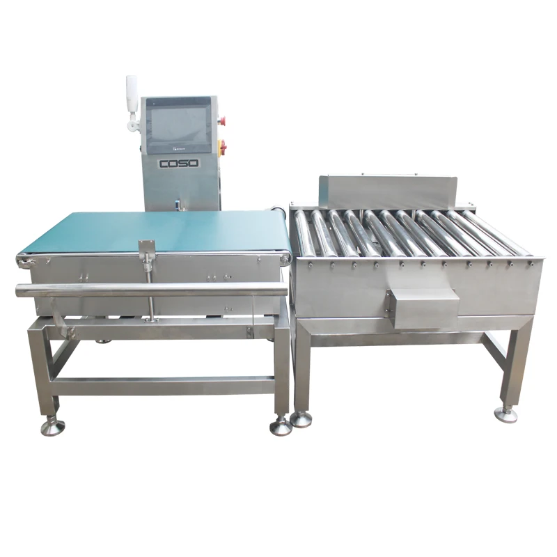 20Kg 40Kg Industrial Weight Checker Check Weigher for Big Heavy Carton