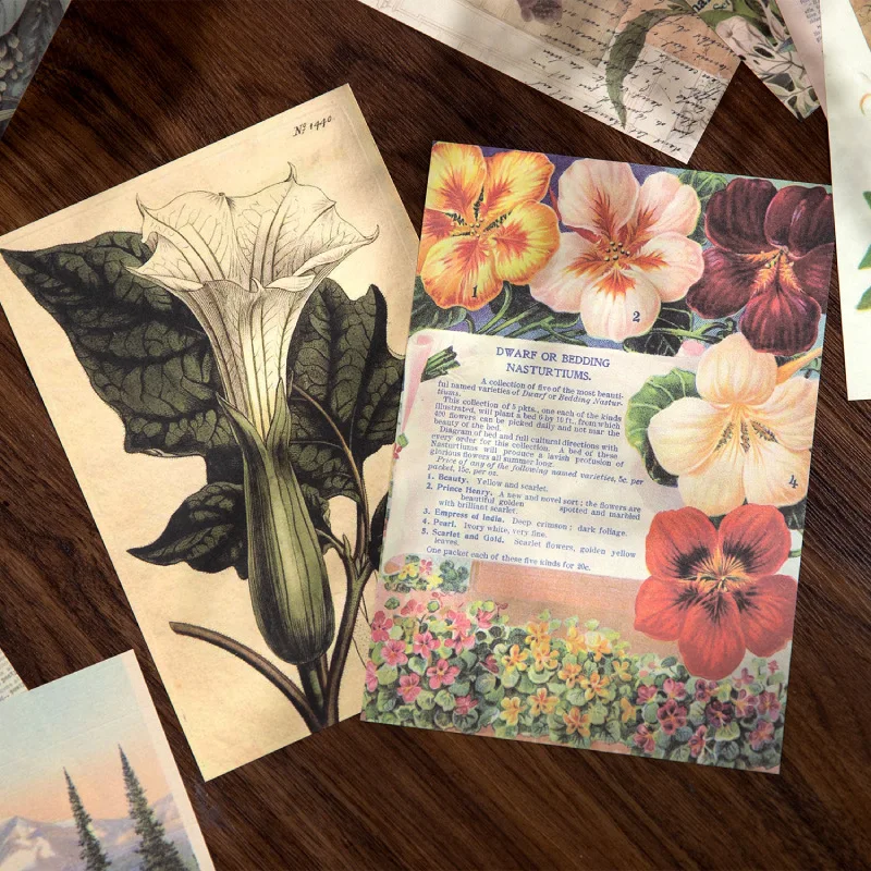 Mr. Paper 2 styles 60 pcs/pack wahsi paper texture vintage material package floral handbook bottoming material paper