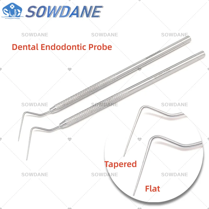 

Dental Stainless Steel Endodontic Probe Explorer Flat/Tapered Instrument Tool Oral Care Teeth Whitening