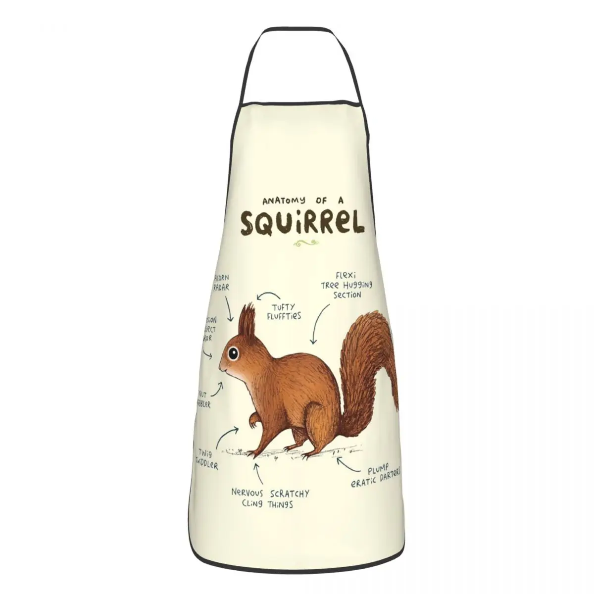 Anatomy Of A Squirrel Aprons Chef Cooking Baking Tablier Sleeveless Bib Kitchen Cleaning Pinafore for Women Men Painting