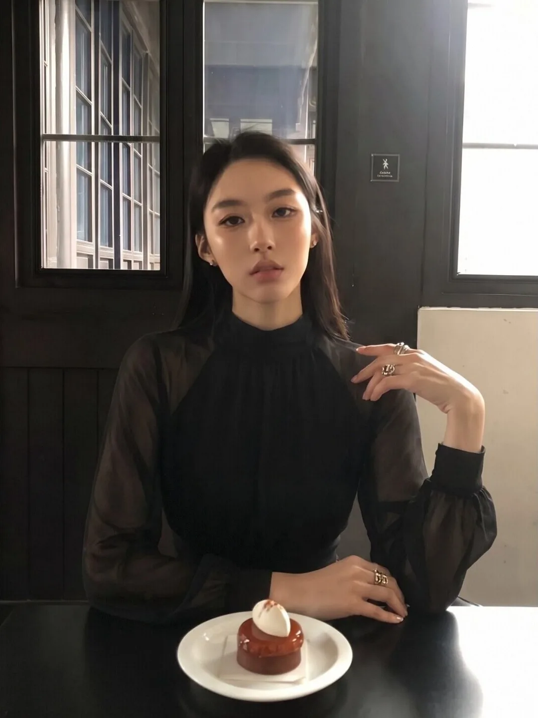 Elegant Black High Collar Long Sleeve Women's T-Shirt Slim Fit Mesh Top Casual Style Autumn Season Breathable Comfortable