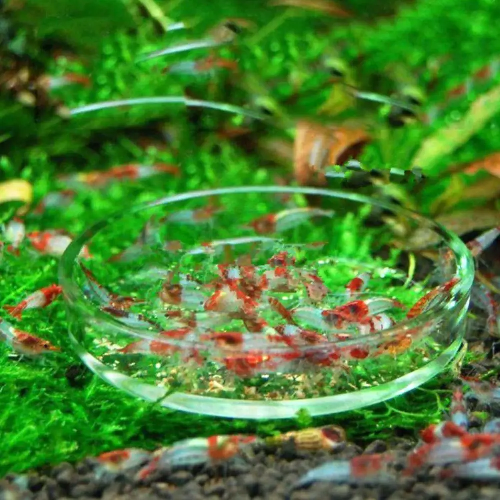 Feeder Tank Aquarium Fish Crystal Red Cherry Shrimp Round Glass Feeding Dish Goldfish Tank Living Room  Office Desktop Decor