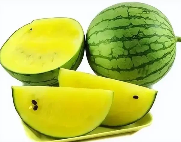 

Двухдиапазонный приемник Gemini BAYCK ELRS (900 МГц/2,4 ГГц/915 МГц, TCXO) дальнего действия для гоночных дронов FPV и радиоуправляемых с неподвижным крылом