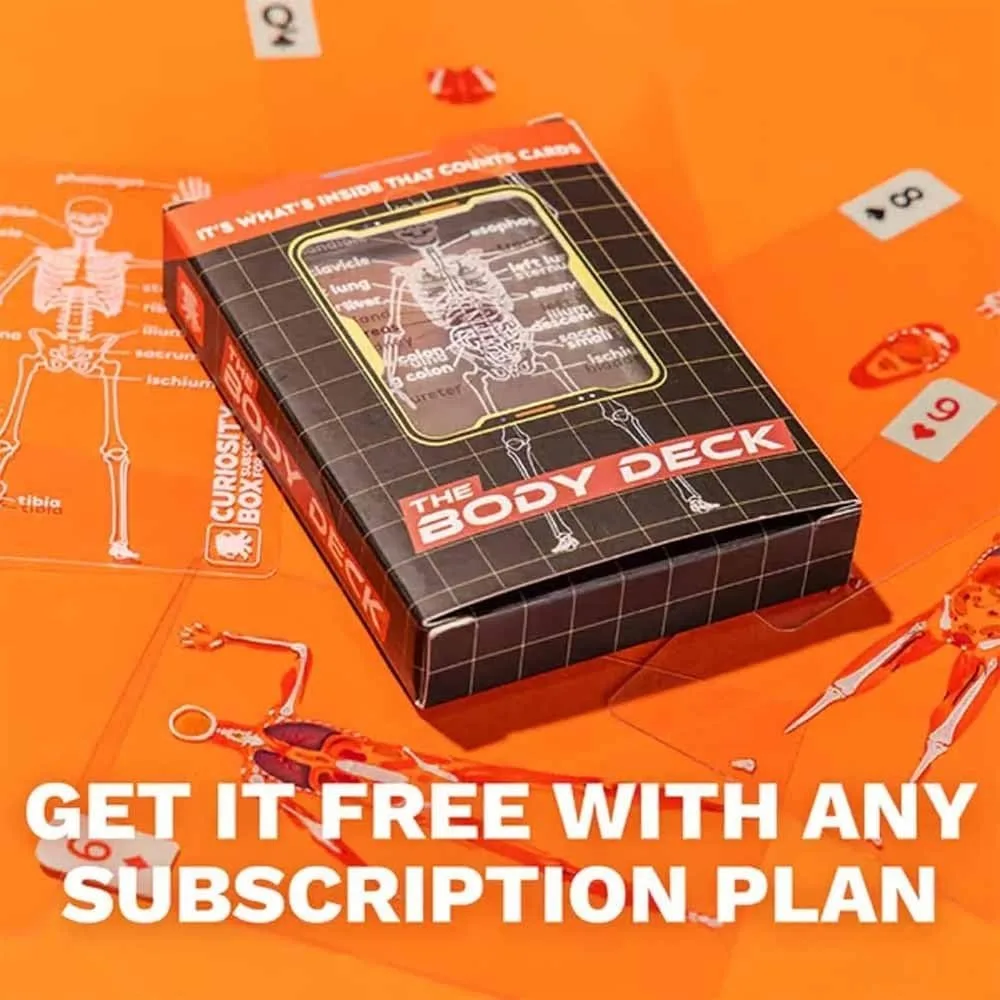 O corpo baralho manequim corpo baralho esqueleto jogando cartas anatomia transparente cartas de poker esqueletos projetos de raios x educacional presente