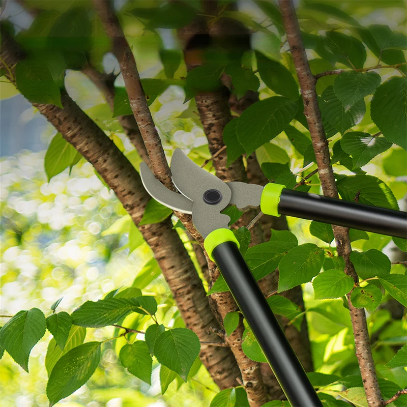 Imagem -03 - Deli-high Branch Conjunto de Tesoura de Poda Cerca de Corte Ferramenta de Poda Pruner de Grama de Jardim Cortador de Árvores Ferramentas Manuais Domésticas pc