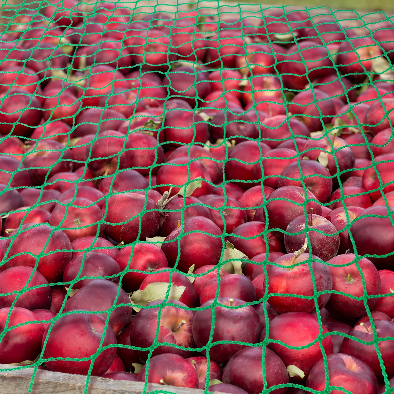 

Trailer Cargo Net Truck Bed Nets Large Size Nylon Universal Design Elastic Cords Weather Resistant Perfect Camping Moving Pickup