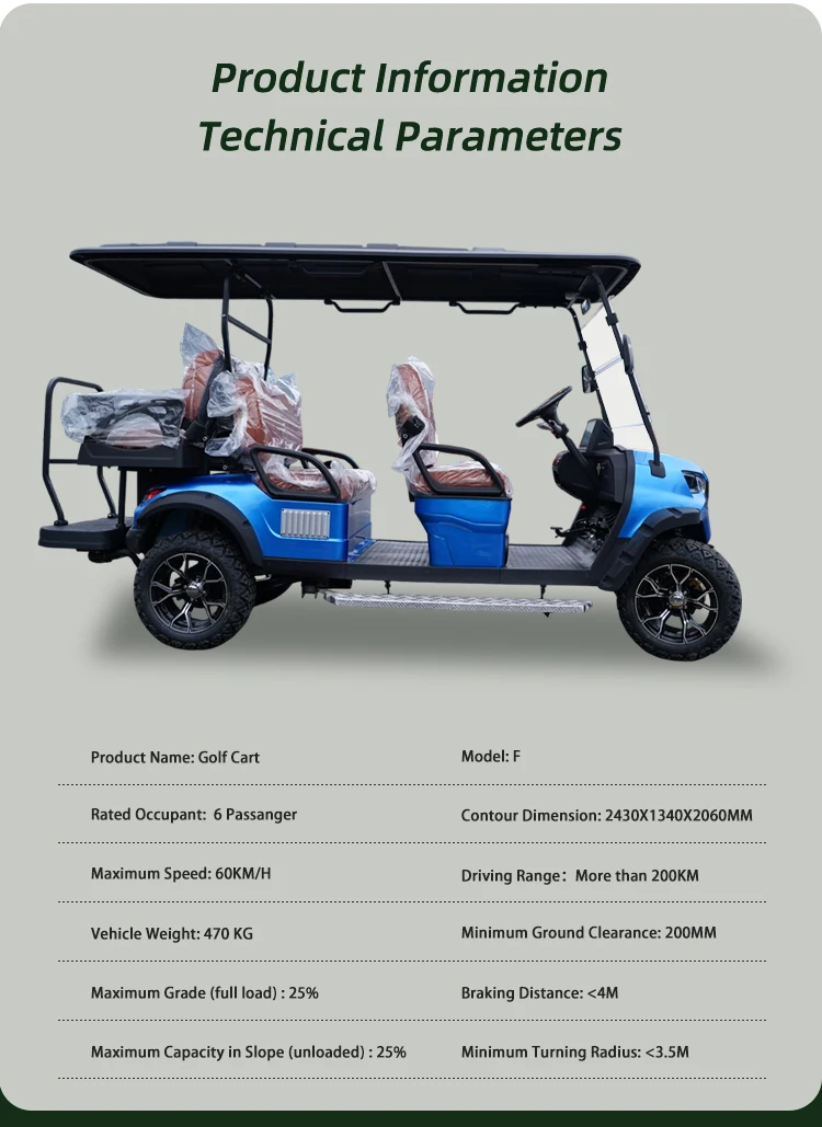 lsv Wholesale  Brand 400CC Gas Power Golf Cart 6-Seater Petrol with 4 Stroke Engine
