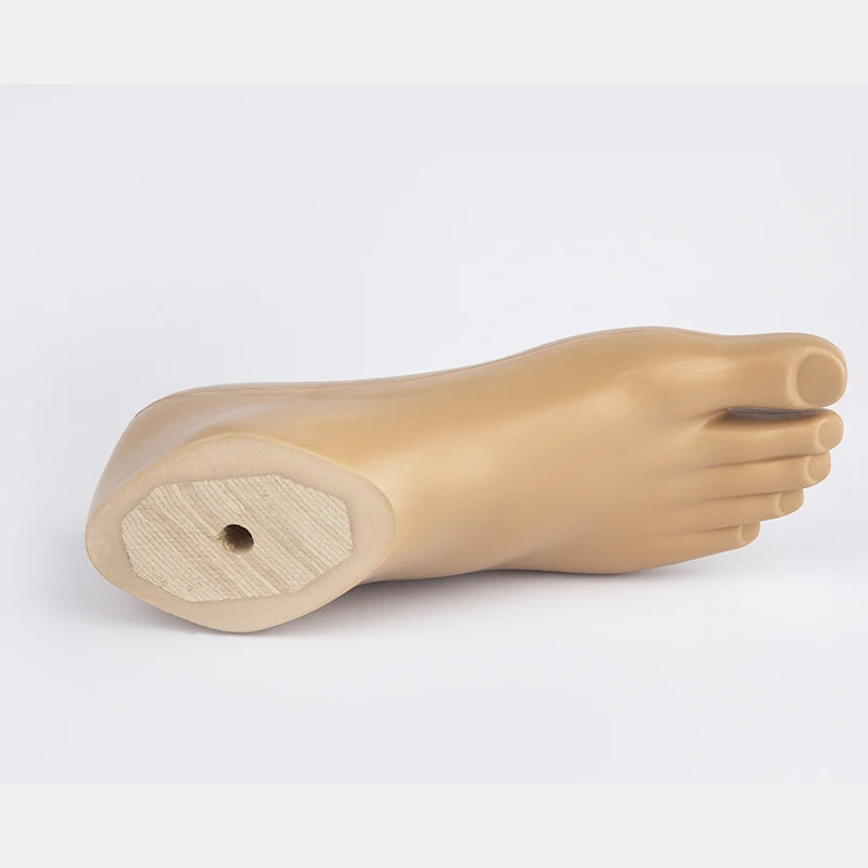 Prosthetic Foot Board Static Ankle 21～27cm Accessories Parts Artificial Limbs Ortheses Prostheses Sockets Fasten