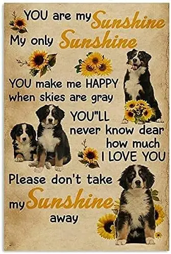 Funny Tin Sign You are My Sunshine Bernese Mountain Dog Vintage Metal Sign Gift Bedroom Retro Novelty Cafe Store Tin Signs  sign