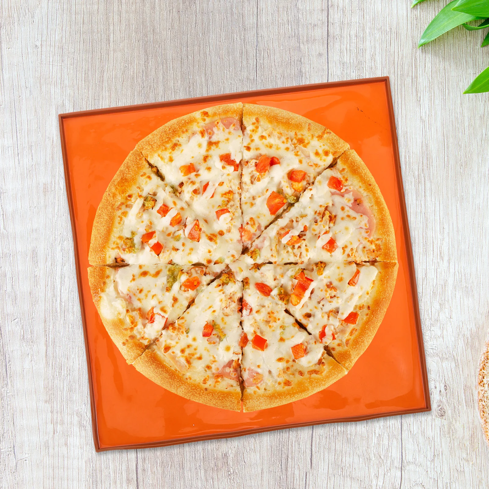 

Silicone Dehydrator Mat Reusable Heat Resistant Nonstick Baking Tray Liner Oven Silicone Sheet Dehydrator Sheets