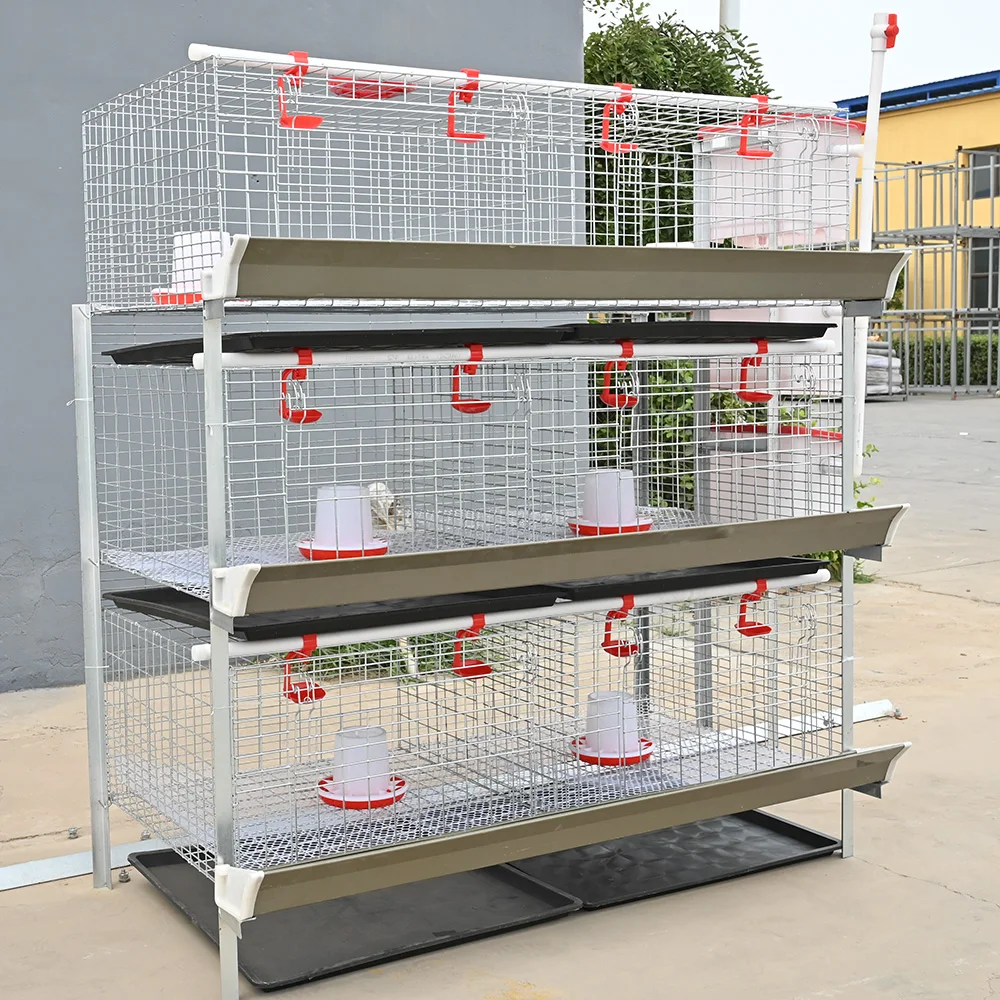 

New H-Type Manual Broiler Cage for Breeders Battery System with Crank Chickens