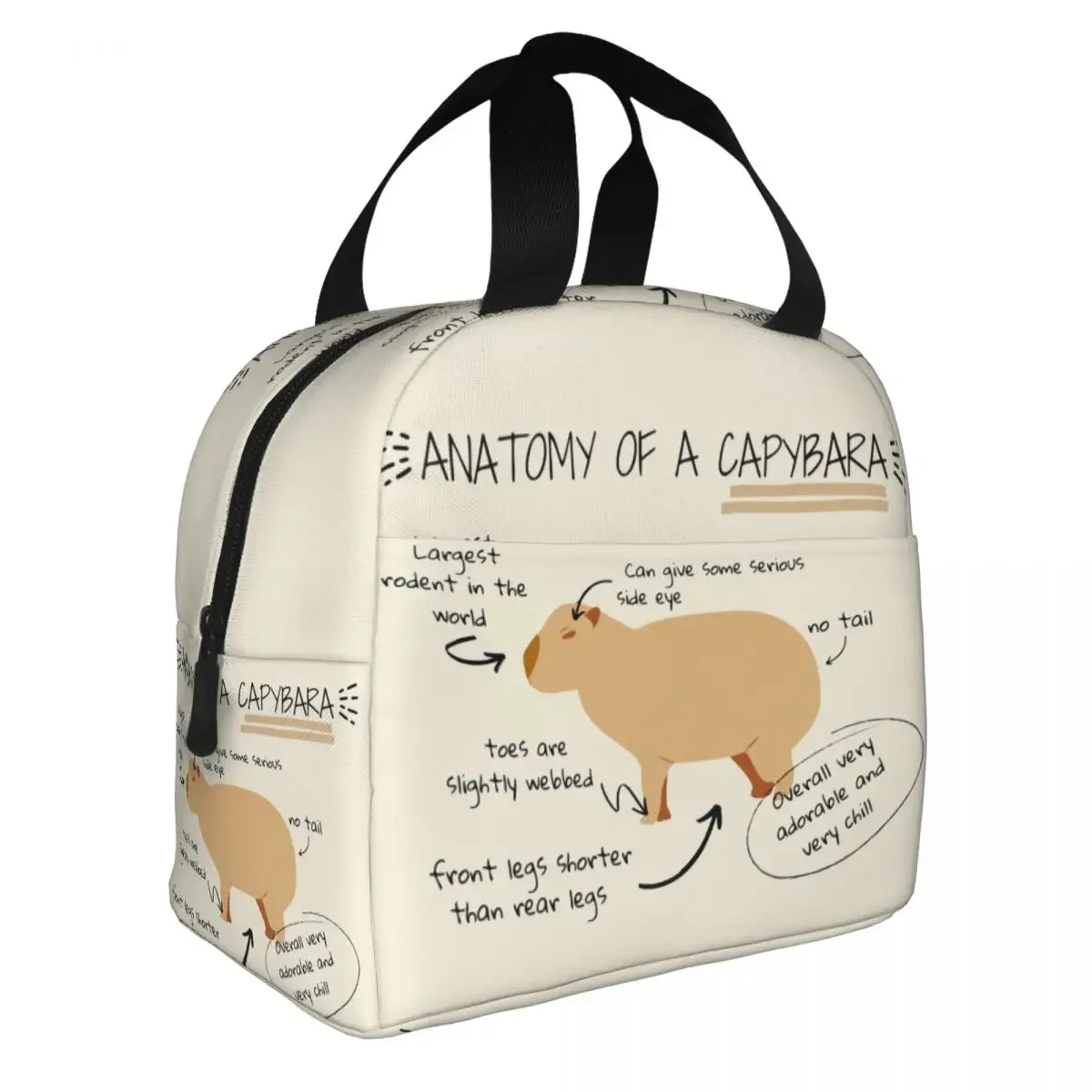 Anatomy Of A Capybara Thermal Insulated Lunch Bag Women Resuable Lunch Container for Kids School Children Storage Food Box