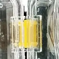 

Denture Storage Box Plastic Denture Tooth Box with Film High Quality Dental Implant Membrane Tooth Box