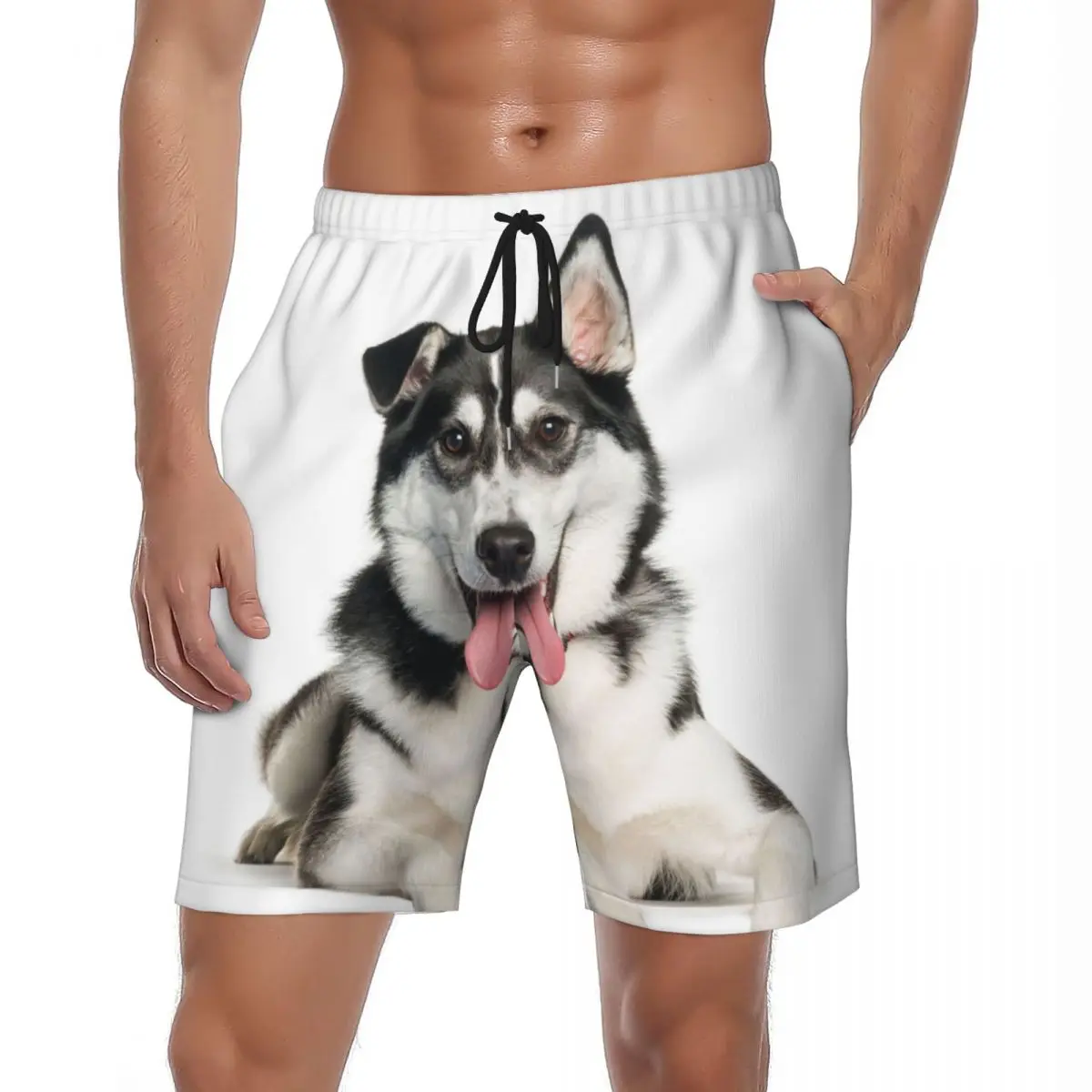

Спортивные шорты для сибирской собаки хаски, летние кавайные спортивные шорты с животными, пляжные шорты, мужские быстросохнущие винтажные пляжные плавки большого размера