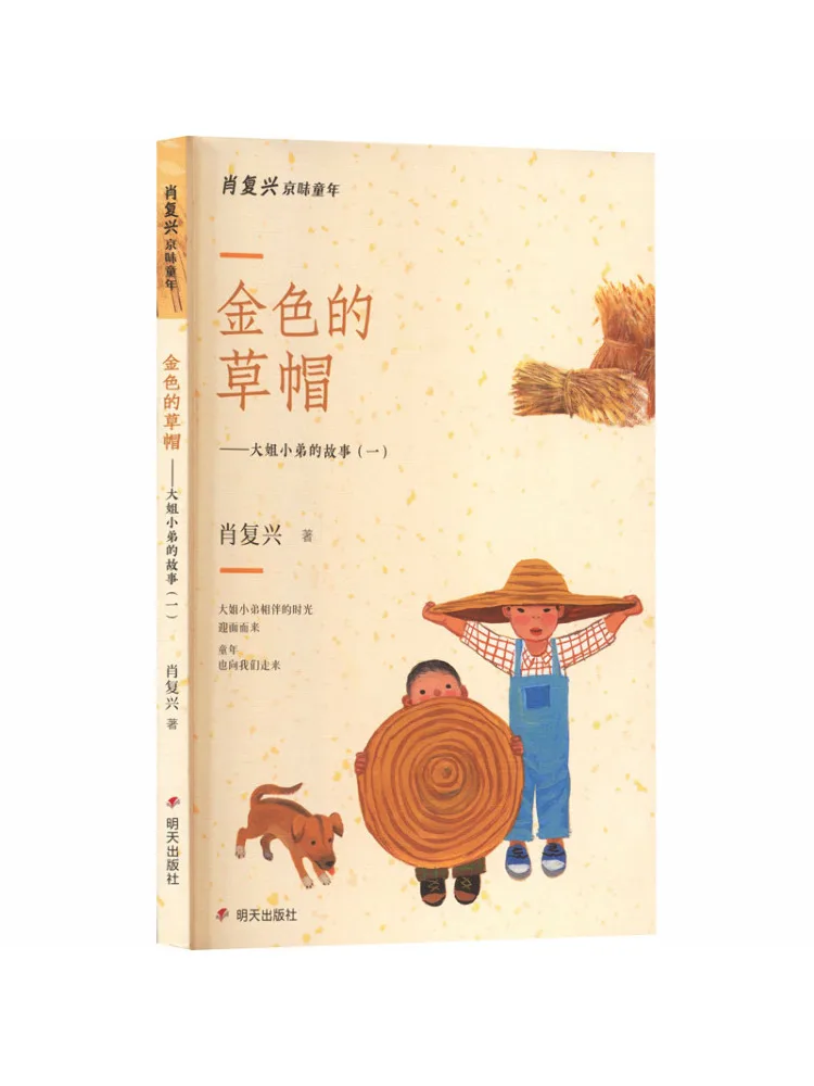 

Книга-роман «Золотая соломенная шляпа»: История старшей сестры и младшего брата. Часть первая