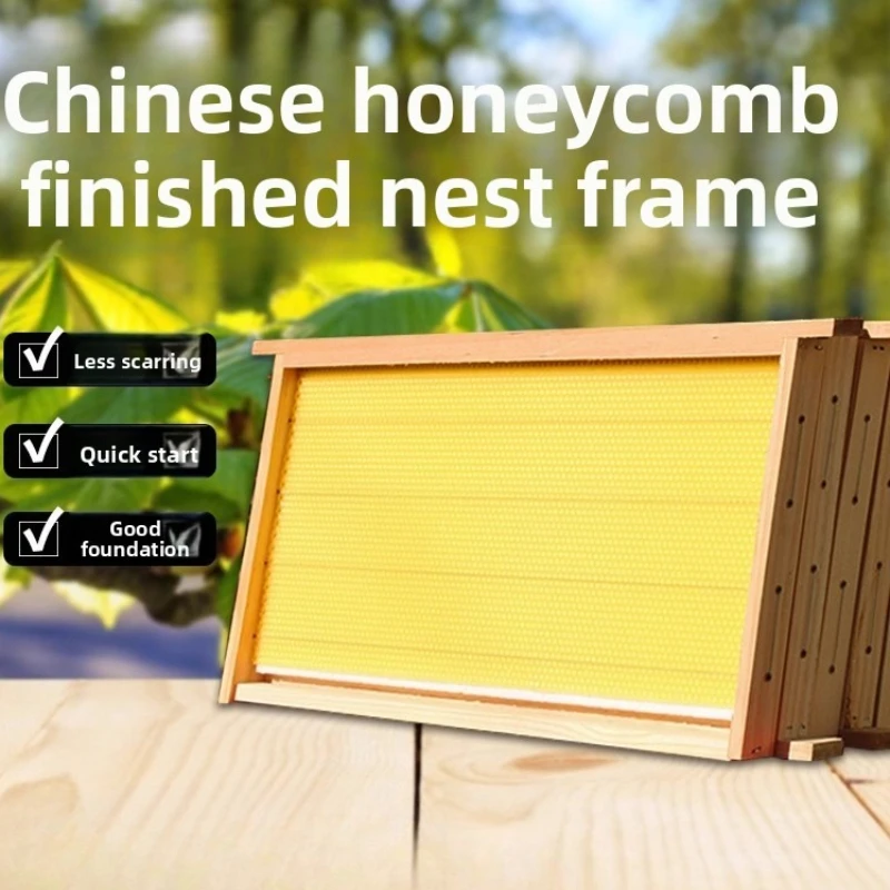 Chinese Honeybee Bee Hives Standard 10-Frame Hive Beekeeping Tool Pre-Waxed Bee Comb Frame Complete Bees Frame Ready To Use