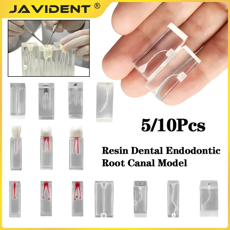 Dental Endo Root Canal Model Training Block Endodontics Student Teaching Model Practice Model Dentistry Student Training Demo