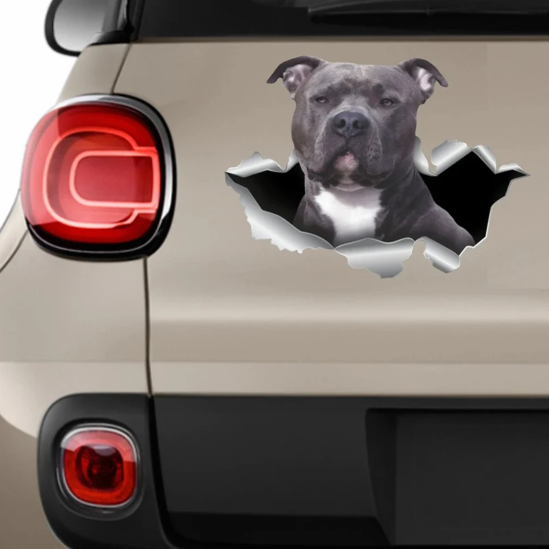 S62219# Car Sticker Blue Nose pitbull Dog Pet Animal Waterproof Vinyl Decal Car Accessories Decor Pegatinas Para Coche