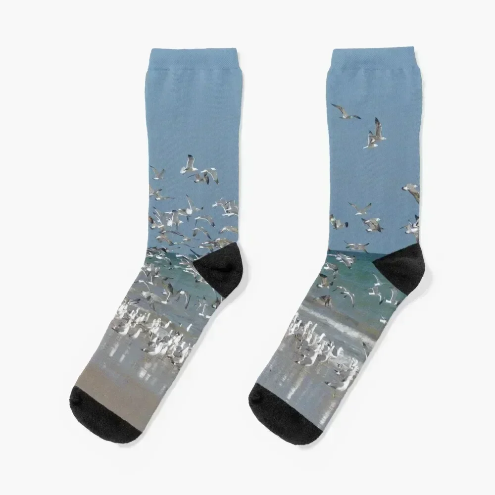 

A Flock of Seagulls Socks cycling gifts man christmass gift Ladies Socks Men's