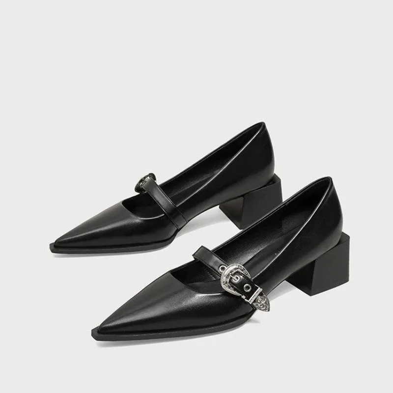 

Designer Vintage Pointed Toe Women Mary Jane Shoes Fashion Shallow Buckle Shoes Spring Ladies Elegant Dress Thick Heel Shoes 43