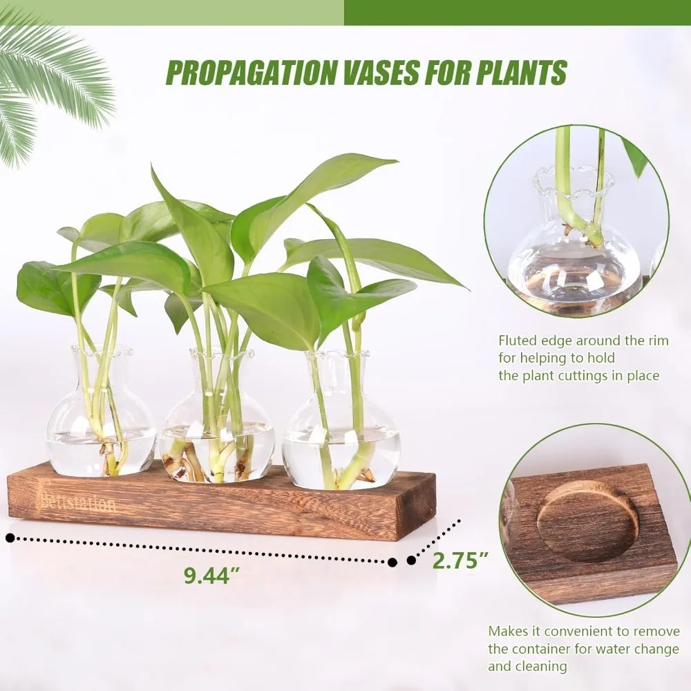 Glass Bud Vase Set with Wood Base Mini Clear Vases for Plant Cuttings, Flowers & Tabletop Greenery Arrangements