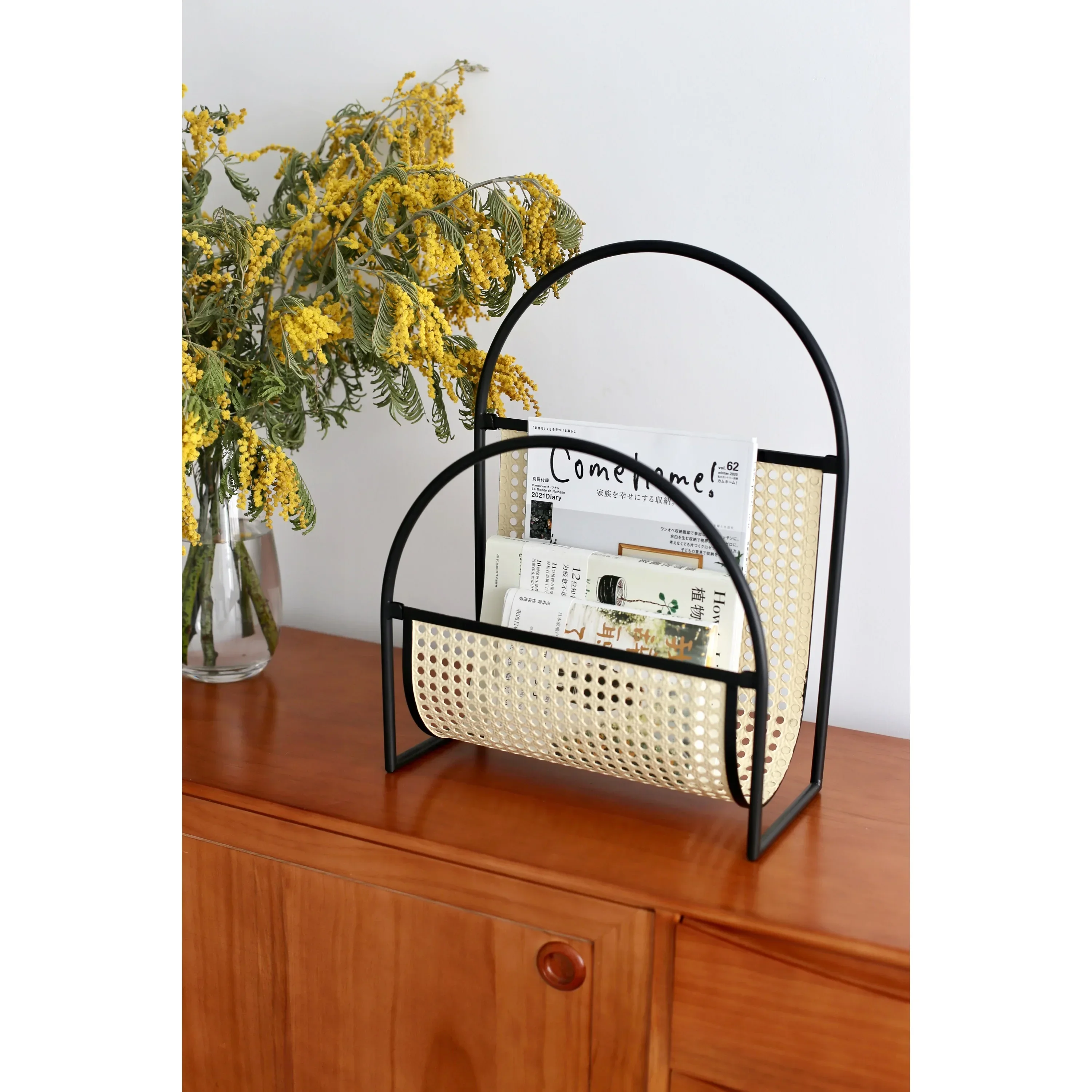 

Japanese Metal Magazine Rack Periodical Shelf Sofa Storage Stand Living Room Decor Design Shelving