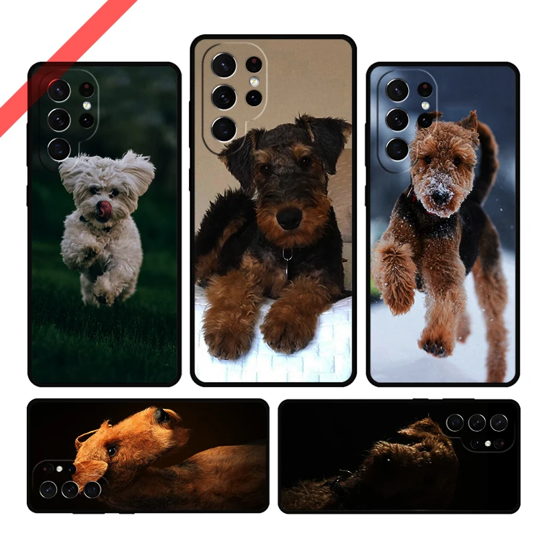 Airedale Terrier Dog Phone Case For Samsung Galaxy S20 FE S21 S10 S23 Plus S24 S22 Ultra Coque Note20 Note10 S9 S8 Cover Capa