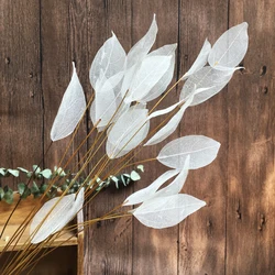 Home Decoration Lucency Leaves Natural Leaf Vein Immortal Artificial Flowers Wedding Table Decoration