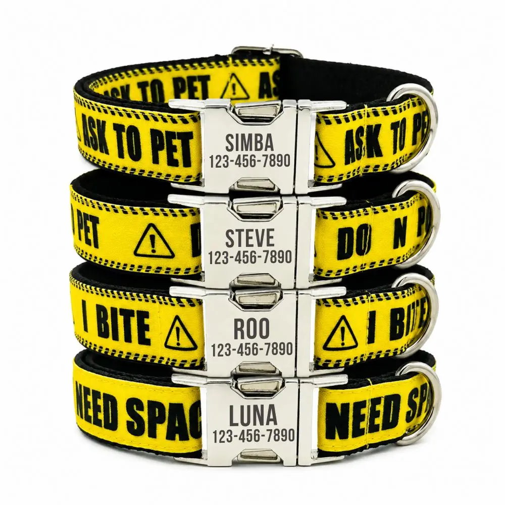 #29 Best Puppy Collars to Buy In 2026