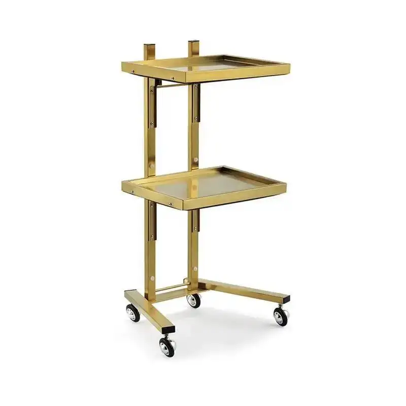 Beauty Salon Trolley Stainless Metal Hospitality Designer Salon Trolley Manicure Carrito De Bar Multifuncional Furniture Fg19