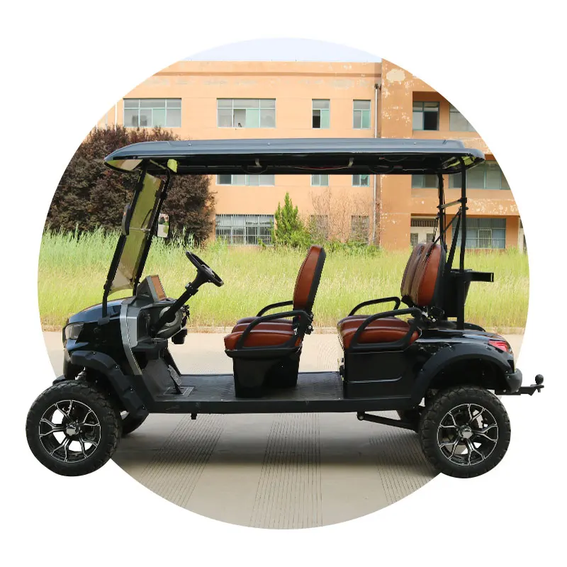 Electric Golf Scooter Golf Cart with Curtis Controller Electric Golf Cart