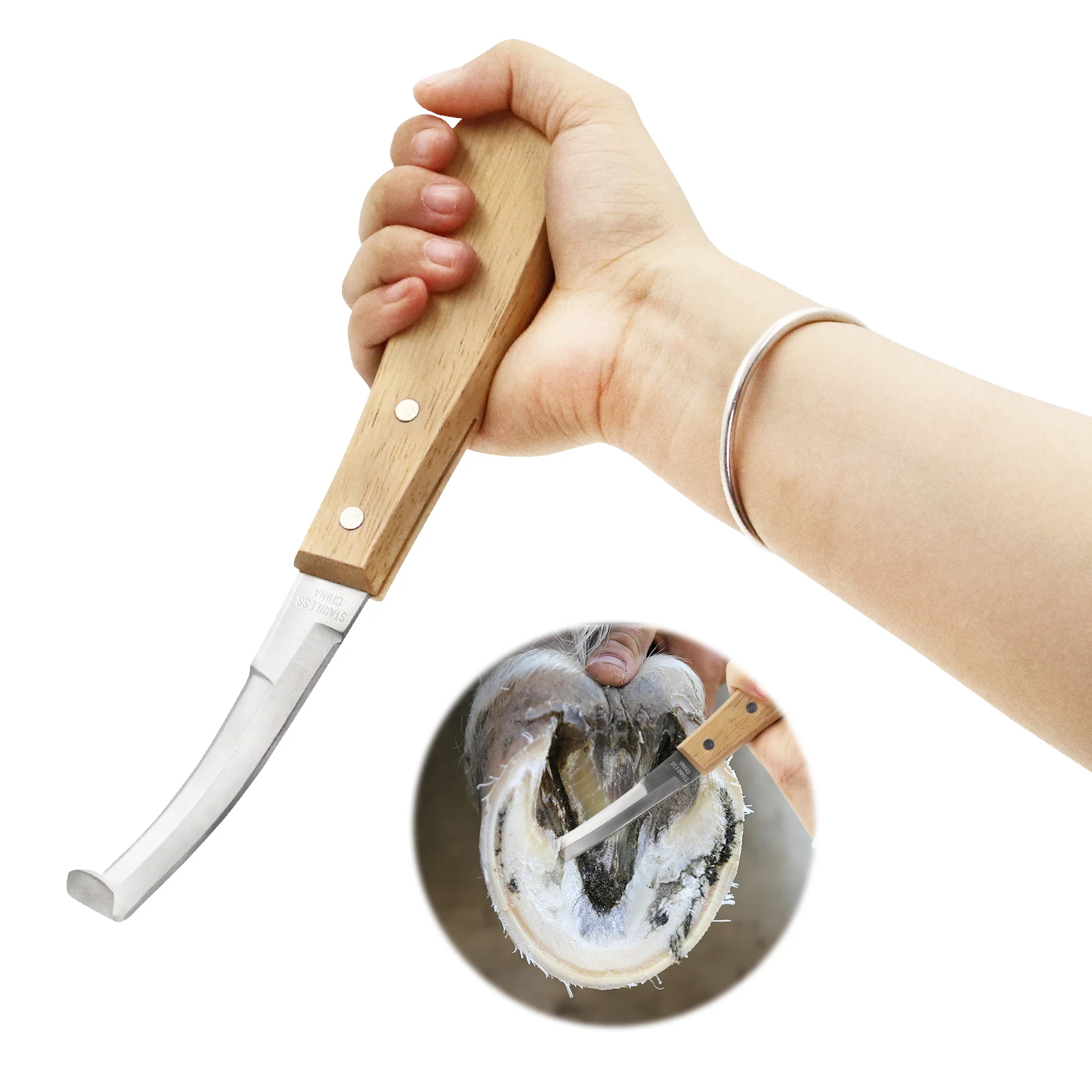 1Pc Pisau Kuku Kuda Sapi Baja Tahan Karat Tipe Pengait Pedikur Domba Dengan Gagang Kayu Alat Pisau Kuku Perlengkapan Peternakan Ternak