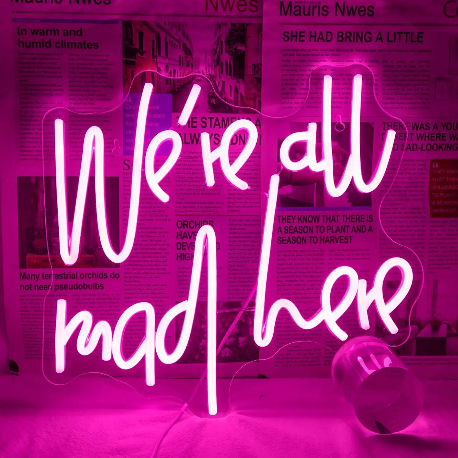 We're All Mad Here Neon Sign Dimmable LED For Wall Decor Connectivity Via USB Neon Light For Bedroom Home Dorm Wall Wedding Part