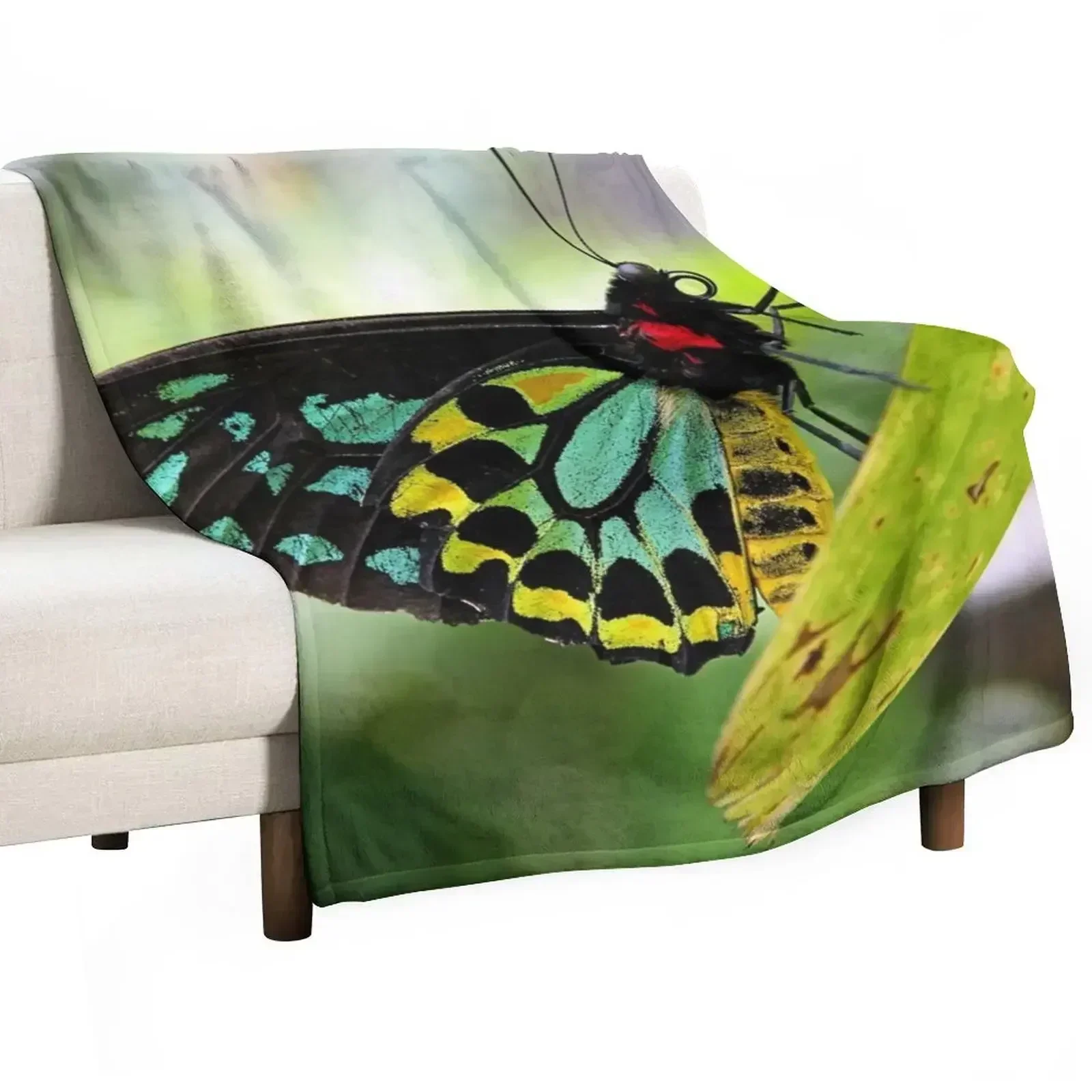 New Cairns Birdwing Butterfly Throw Blanket Beautifuls decorative anime Blankets